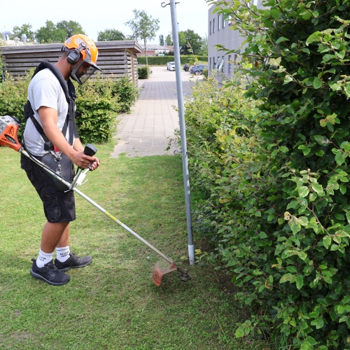 Vedligeholdelse af grønne områder