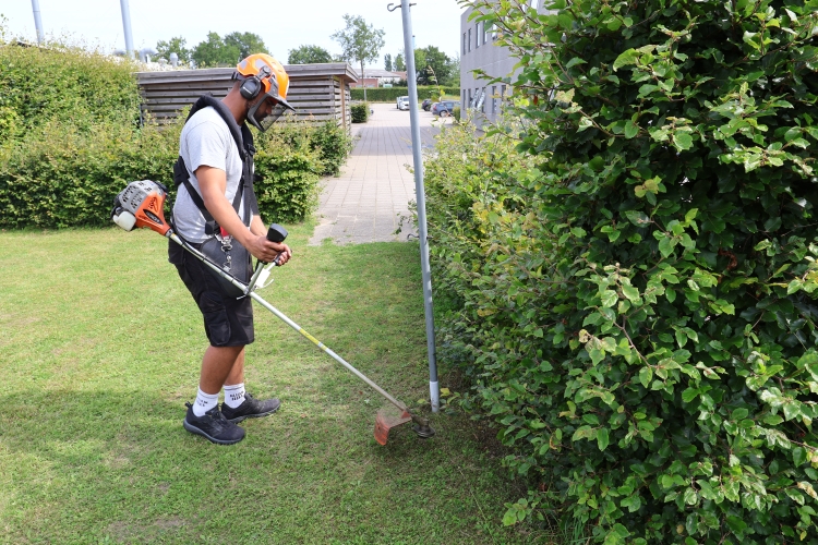Vedligeholdelse af grønne områder